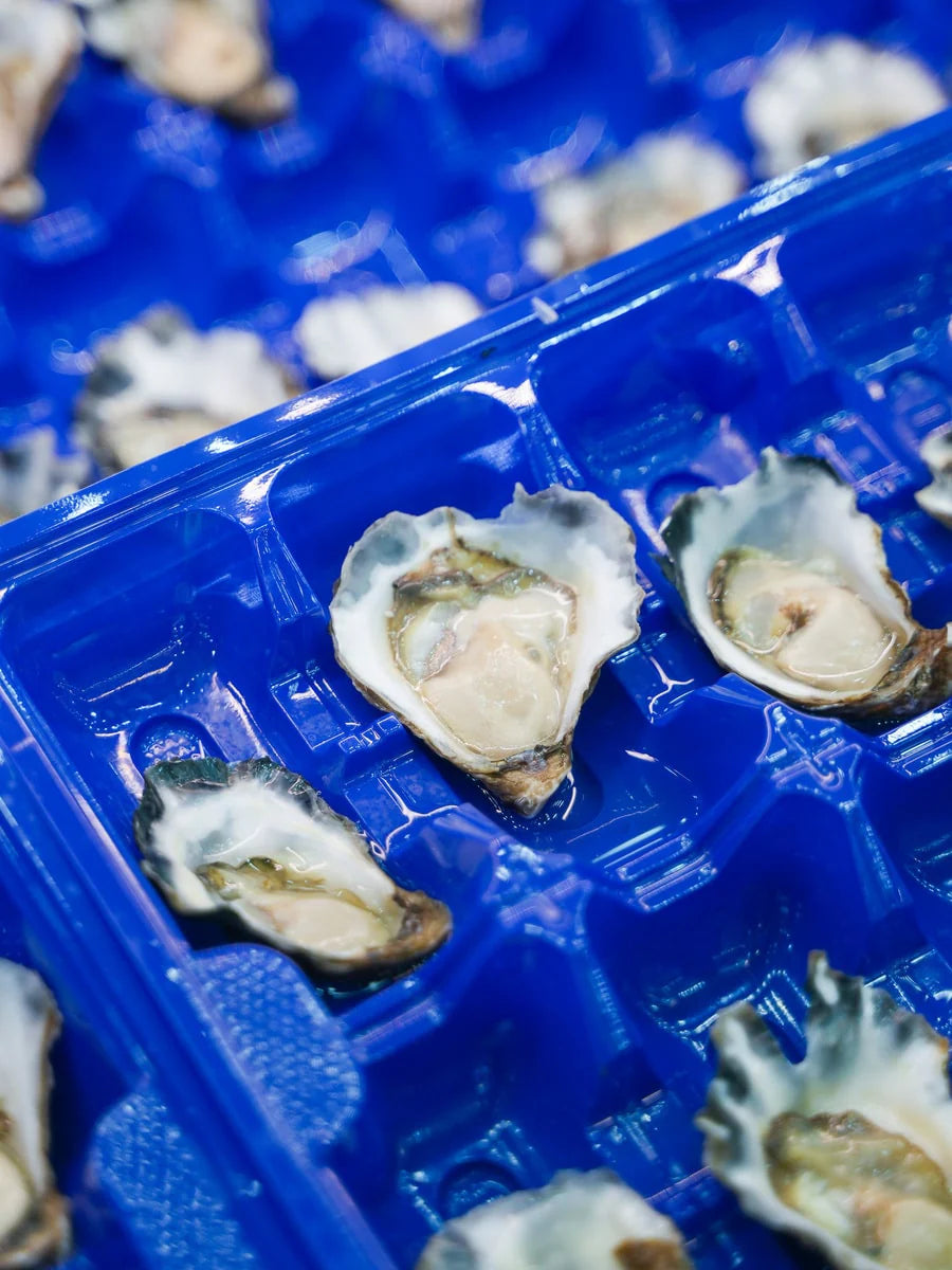 Sydney Rock A Grade (Medium) Per Dozen