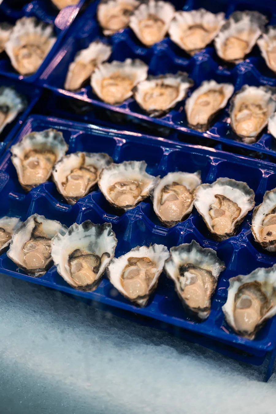 Sydney Rock A Grade (Medium) Per Dozen