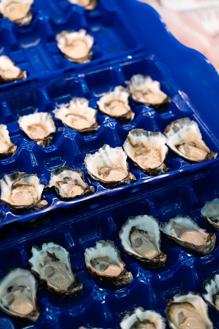 Sydney Rock A Grade (Medium) Per Dozen